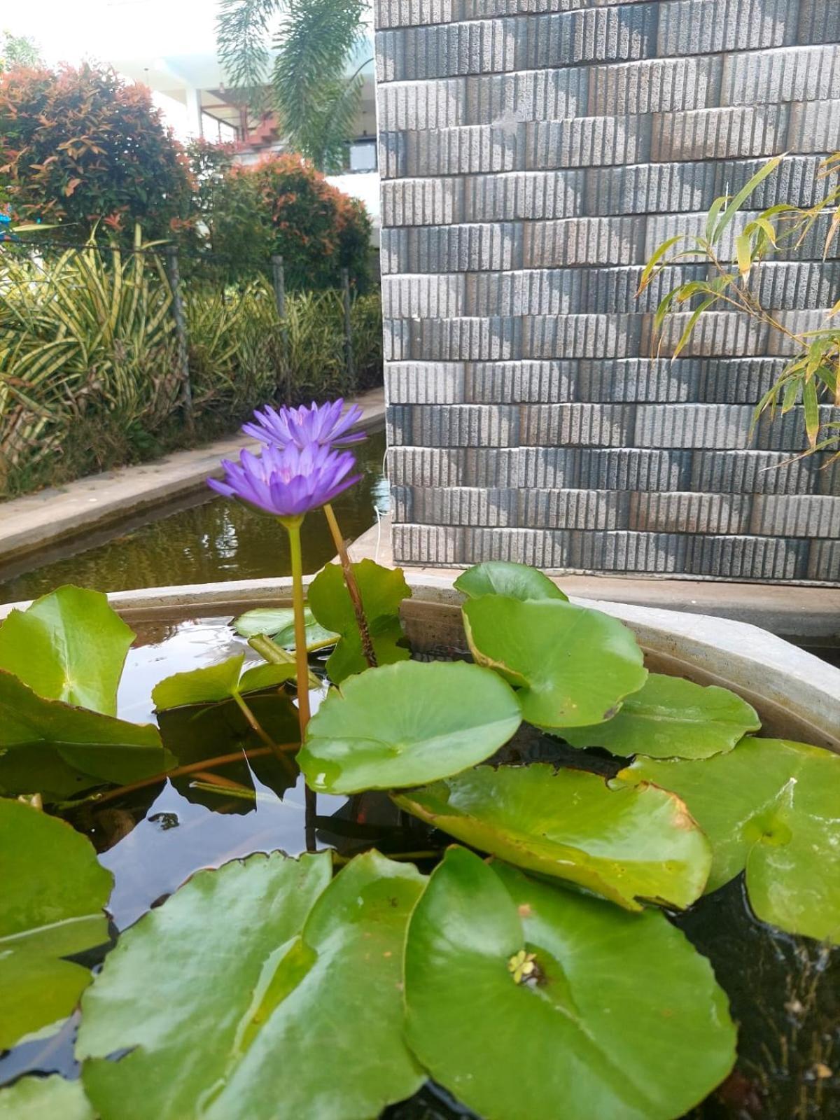 J7 Villaj Resort Trincomalee Εξωτερικό φωτογραφία